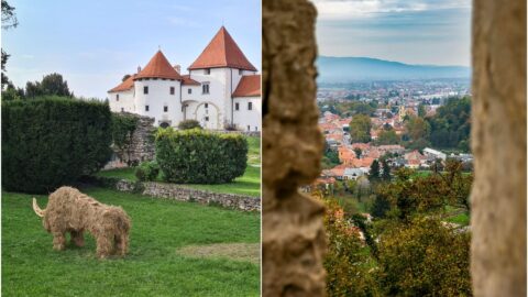 Jednodnevni izlet: Pristupačne destinacije do kojih možete doći javnim prijevozom